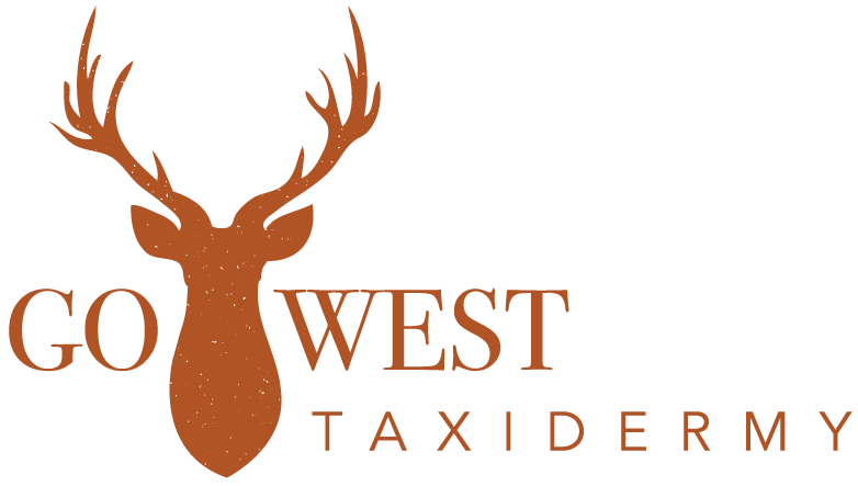 Go West Taxidermy